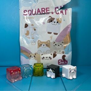 Choco Teddy - Square Cat Series Blind Bag - Lot of 5